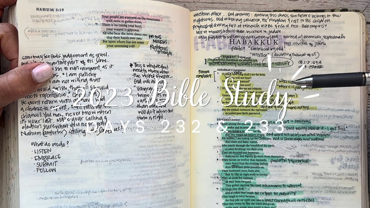 Study the Bible in One Year: Days 232 & 233 Habakkuk 1-3, Jeremiah 41-45