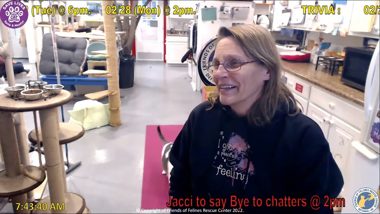 Jacci Morning Goodbye Chat 02-21-2022  Friends of Felines Rescue Center (FFRC)