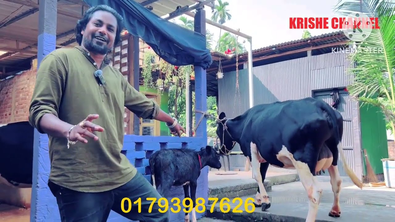 জিনিস ভালো দামে কম | বিক্রয় বিজ্ঞপ্তি ৮/১১/২৫ 🐄
