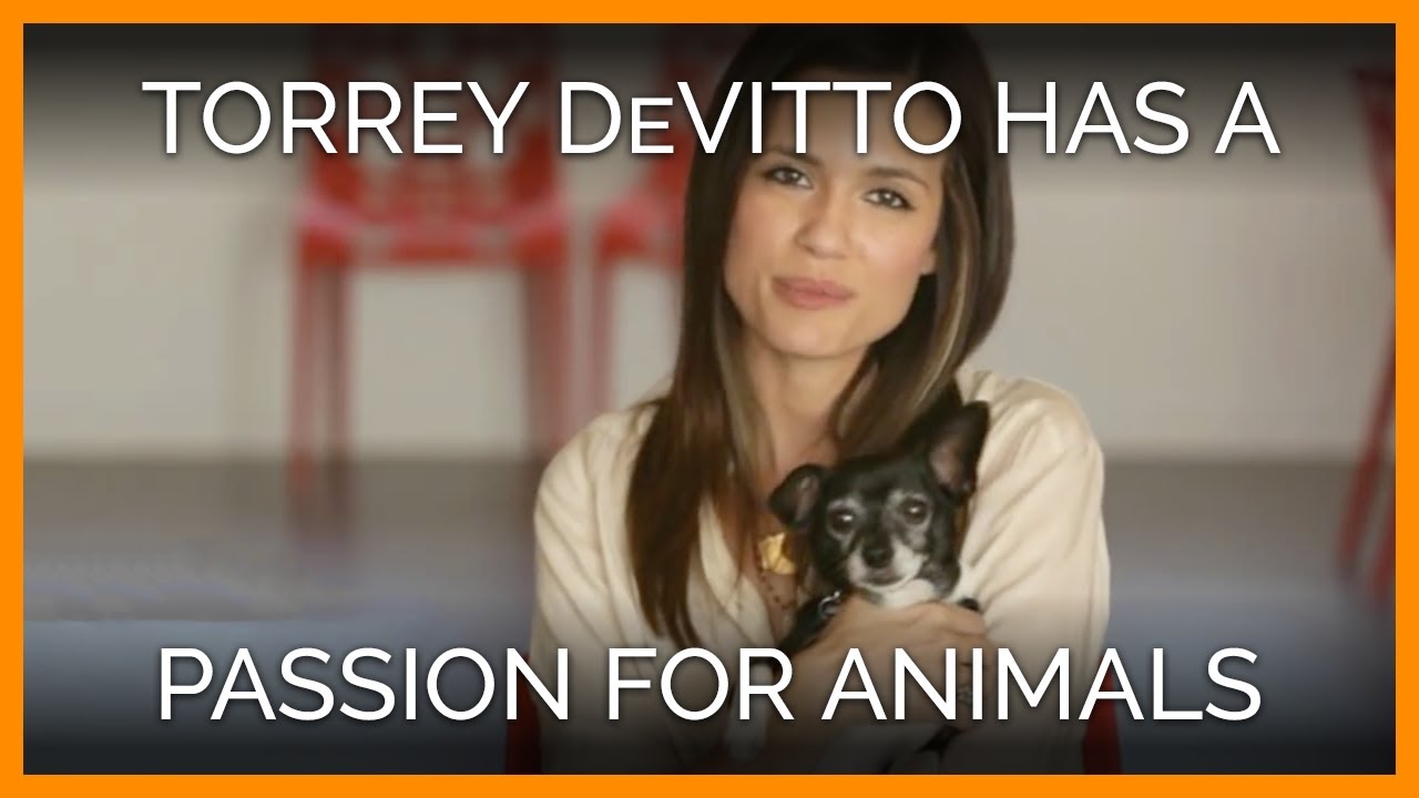 Torrey DeVitto Shares Her Passion for Animals