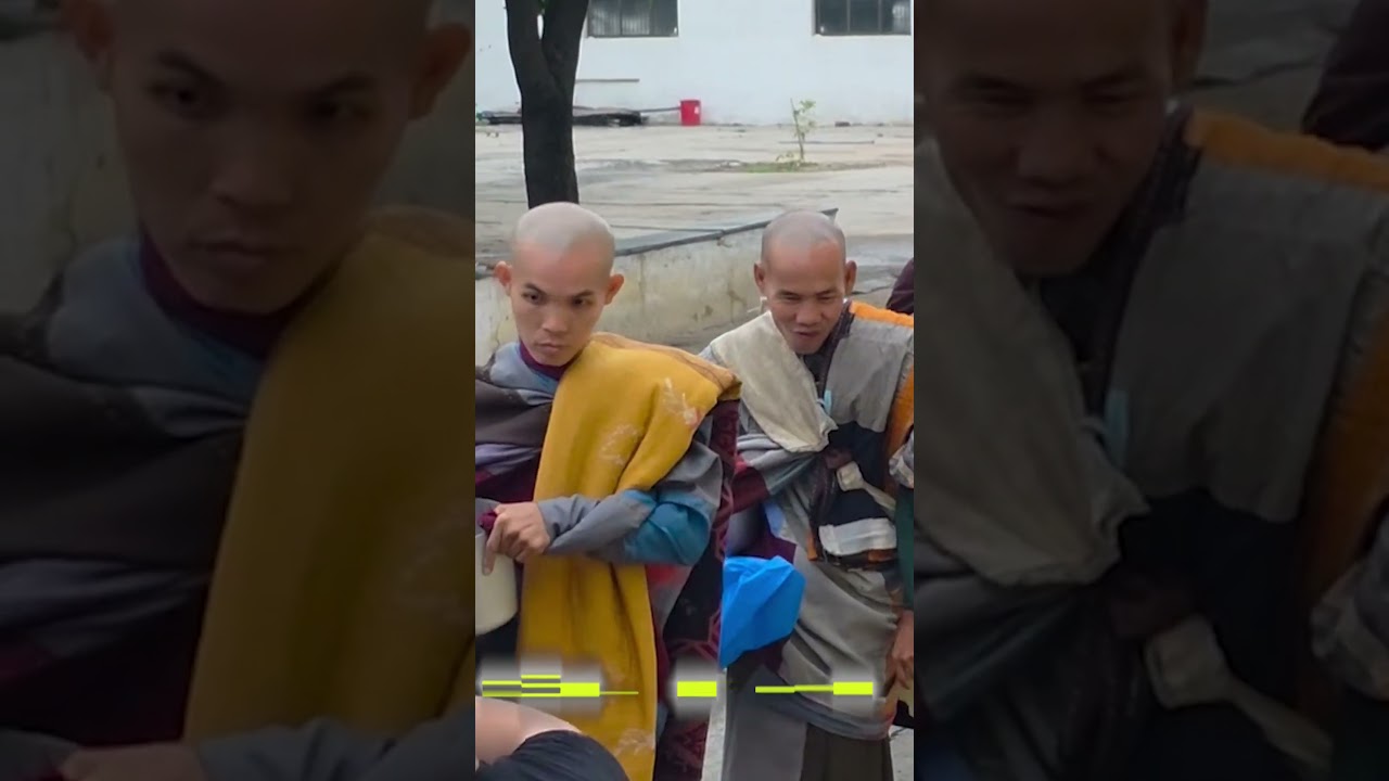 Venerable Minh Tue and the Sangha: The Mindful Walking Journey in India on July 5 2025 #india