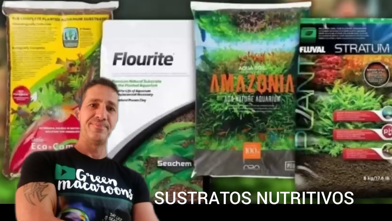 Sustratos nutritivos activos. Que son y como mantenerlos