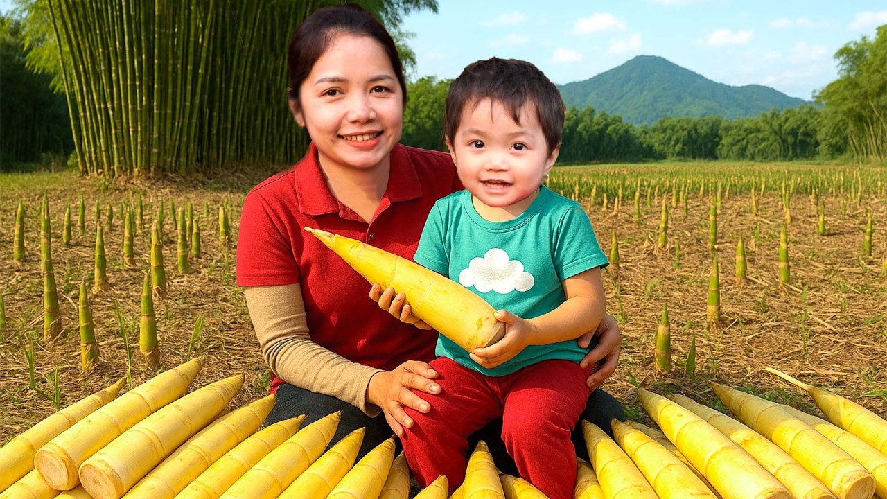 Colhendo Mais De 1000+ Brotos De Bambu Verde Gigantes Exclusivos, V&aacute; Ao Mercado E Venda