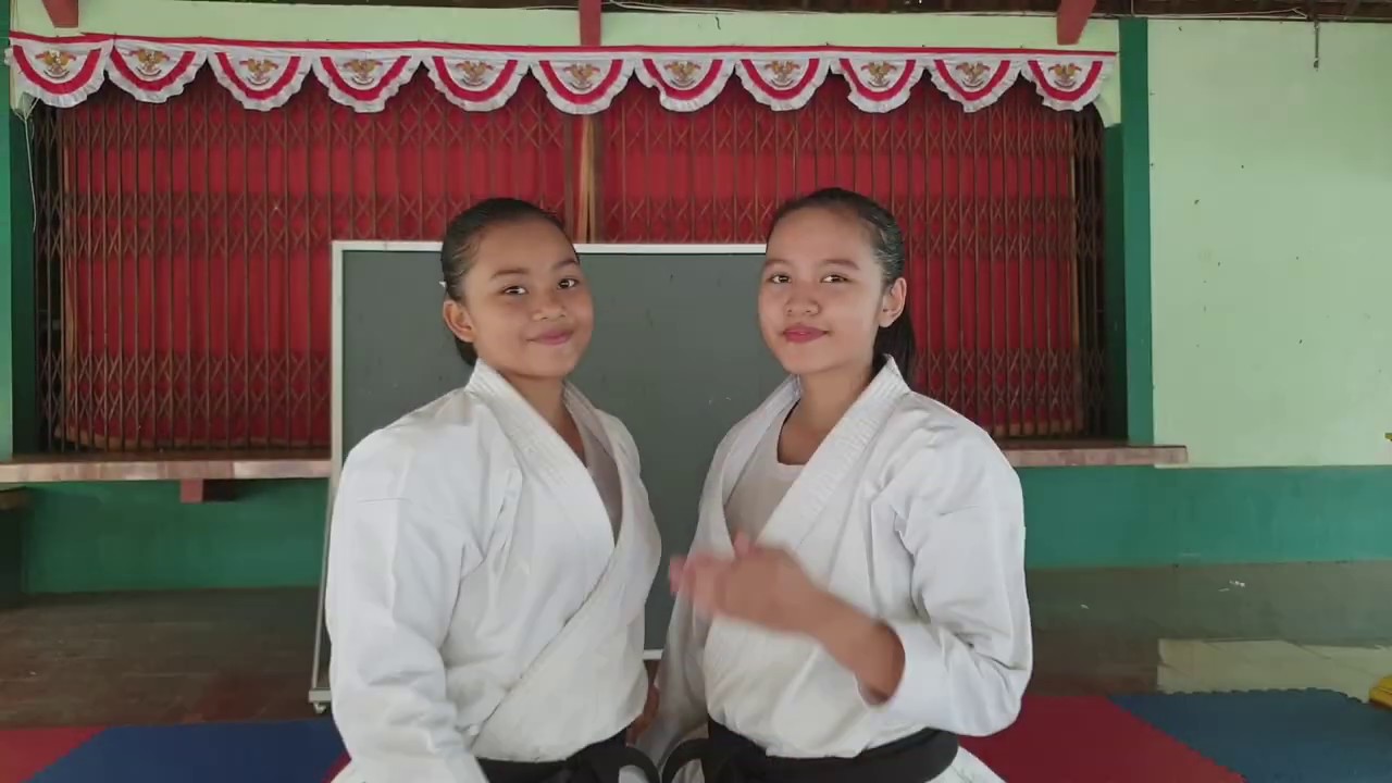 Basic Kihon Haiwan Uke, Nagashi Uke, Geaku Tsuki & Bunkai [KarateKece]