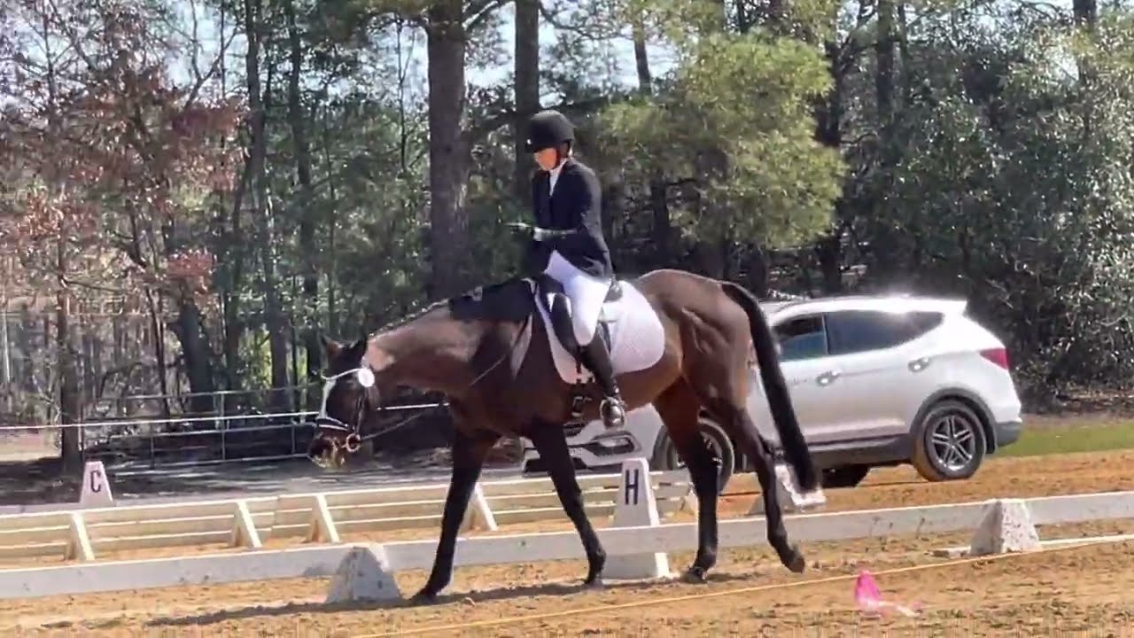 2022 USEF Novice Eventing Test B at Southern Pines HT [March 11, 2023]