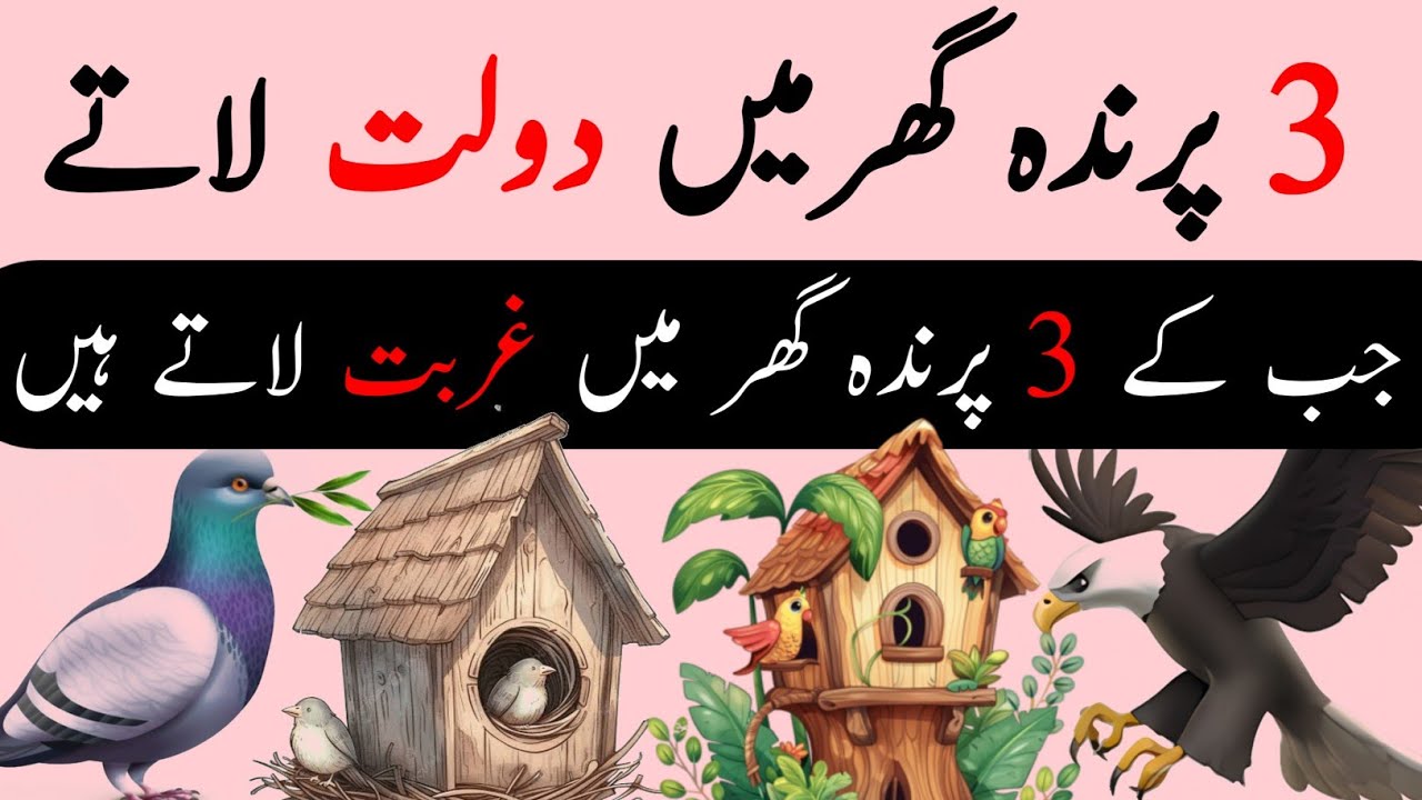 Mubarak Janwar: Ghar Mein Khair Aur Daulat Ka ZariyaManhoos Janwar: Be-Barkati Ps Deeni Voice