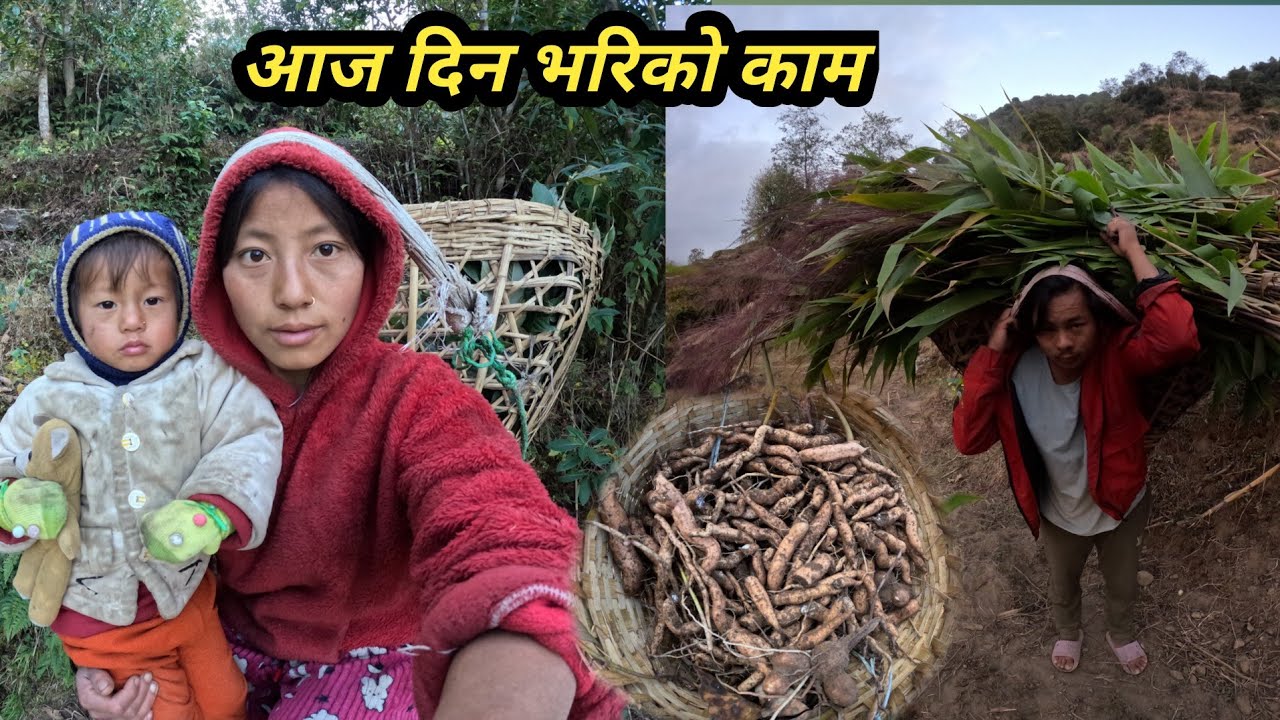 आज को काम आपा लाइ सन्चो भएन एकासि 😭के भयो होला? @Nischalvlog1 @FamilyVlog11W @VillageLifeStyle40 
