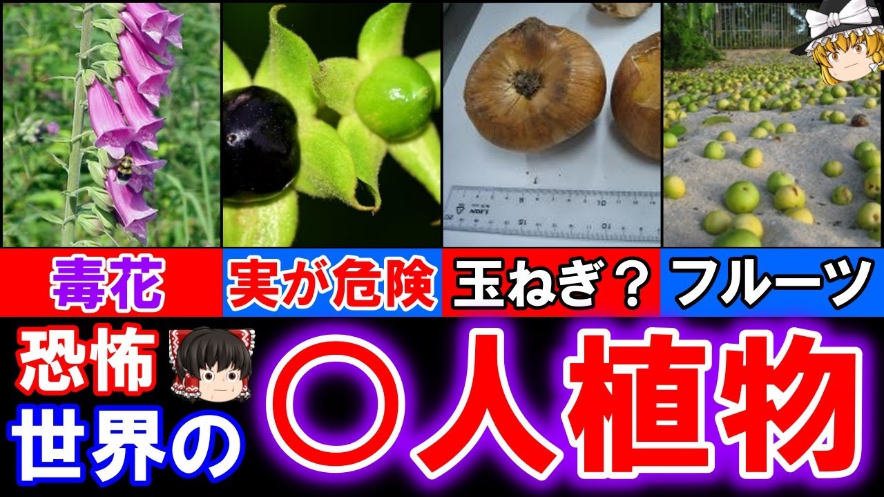 【ゆっくり解説】恐ろしすぎる　世界の◯人植物　10選
