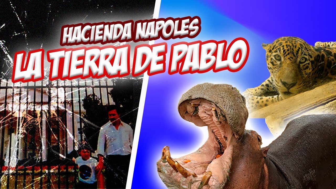🔴🦛HACIENDA NÁPOLES 2023/ PRECIOS/ CÓMO LLEGAR/ VE ESTE VIDEO ANTES DE IR😱🐘