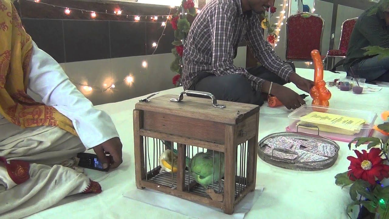 Chilaka Jyoshyam 1 (WishAnEvent)