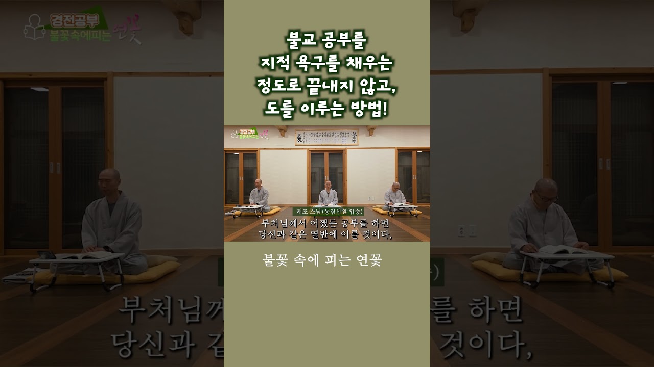 불교 공부는 지적 욕구를 채우는 것이 아닌 도를 이루는 공부!ㅣ2025.7.4.(금) #서장 #불꽃속에피는연꽃 #동림선원 #오대산자연명상마을 #대혜종고스님 #해조스님