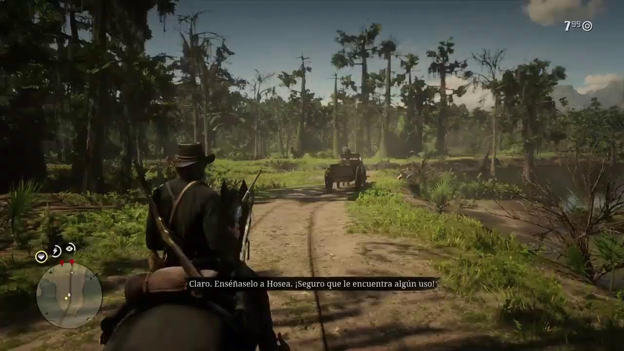 Rdr 2