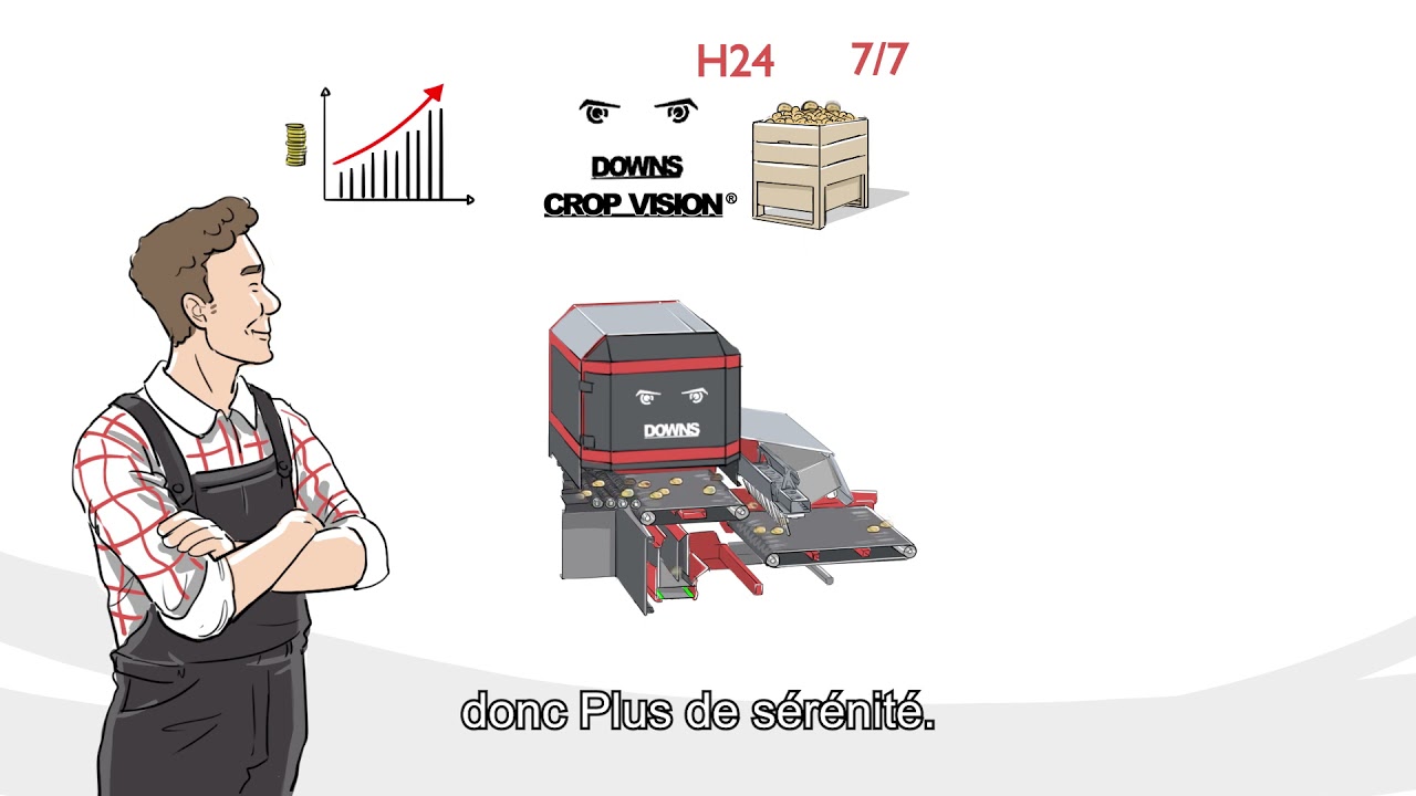Comment fonctionne le DOWNS CropVision? Le trieur optique pour pommes de terre non lavées.