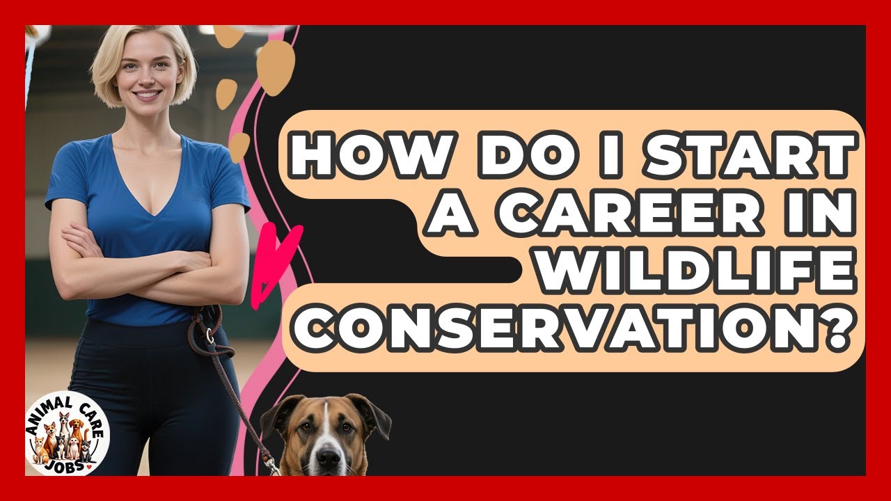 How Do I Start a Career in Wildlife Conservation? - Animal Care Jobs