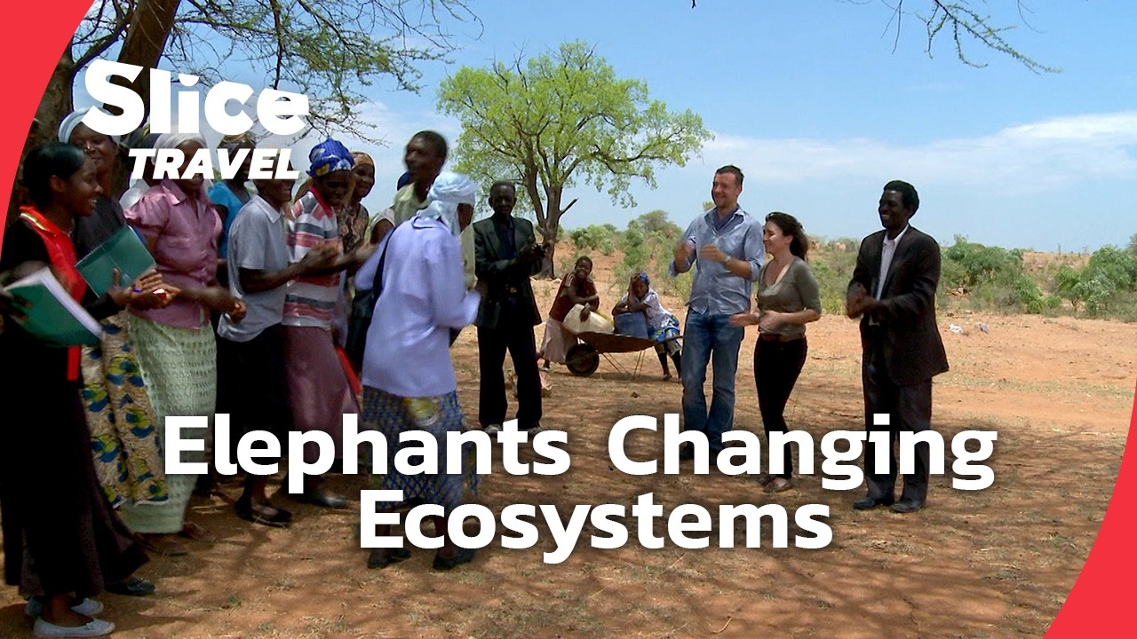 Zimbabwe's Elephant Boom: Saving the Savanna | SLICE TRAVEL | FULL DOC