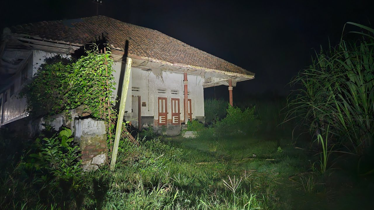 RUMAH MEWAH TERBENGKALAI DITENGAH KEBUN TEBU