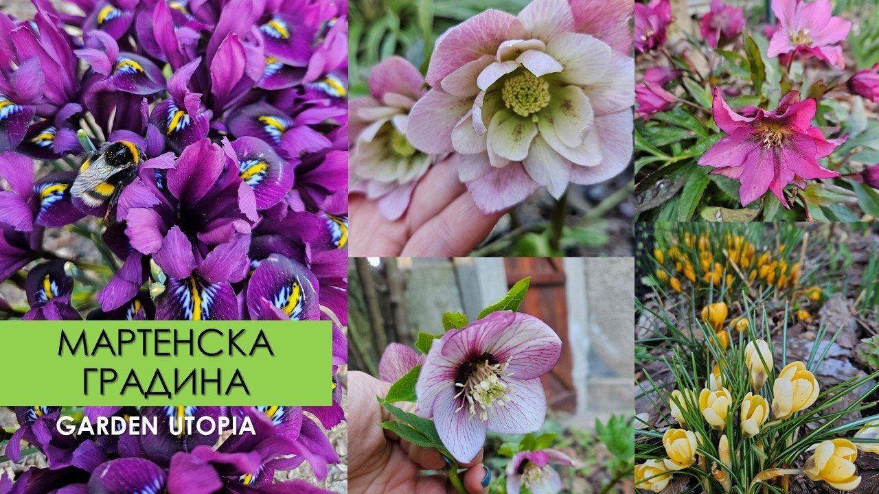 МАРТЕНСКА обиколка на ГРАДИНАТА | Garden Utopia