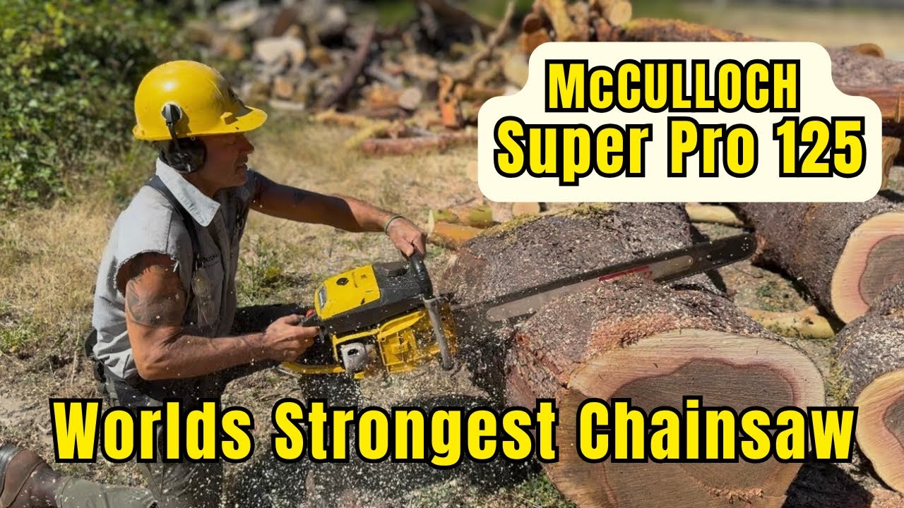 If there is such a thing as ‘THE GREATEST CHAINSAW’ this is it. 