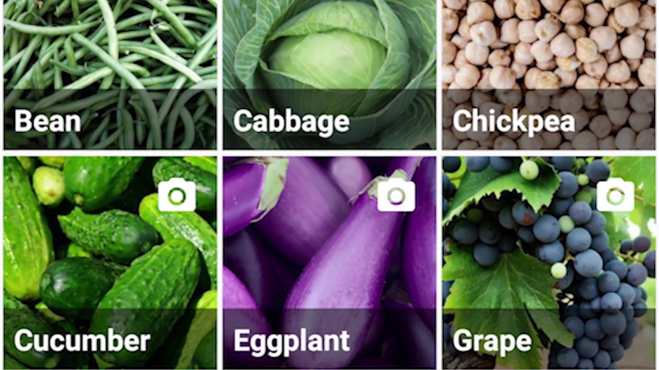 Plantix, a plant disease and diagnostic tool.