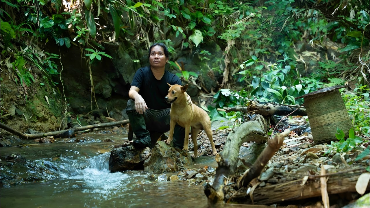 Going into the forest to gather natural food, wild fruits, fishing, hunting at night - Solo survival