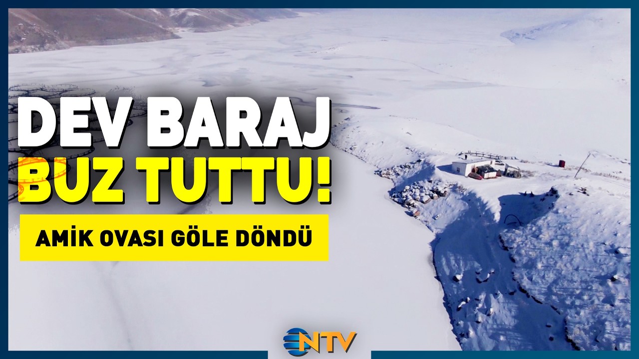 Hayat Durma Noktasında! Van'da G&ouml;ller Buzla Kaplandı | NTV