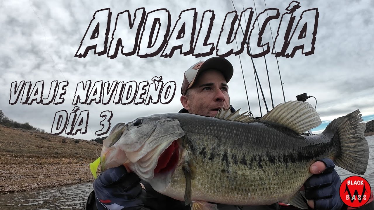 VIAJE NAVIDEÑO POR ANDALUCÍA: DÍA 3. ¡POR FÍN SALIERON PECES GRANDES!