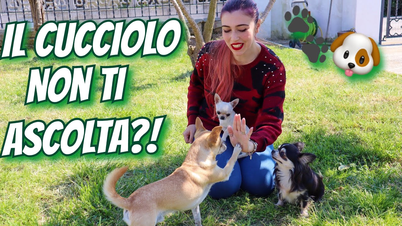 COME FARSI ASCOLTARE DAL CUCCIOLO
