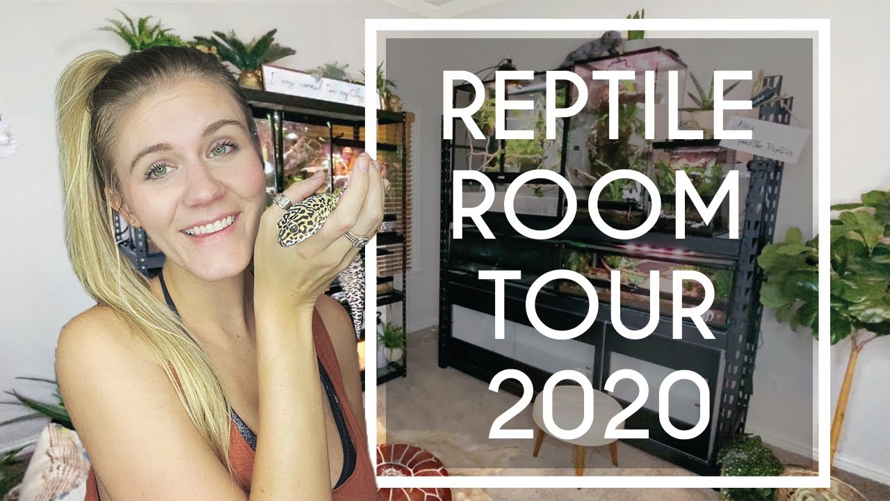 Reptile Room Tour 2020 | #LyssasLizardsLounge