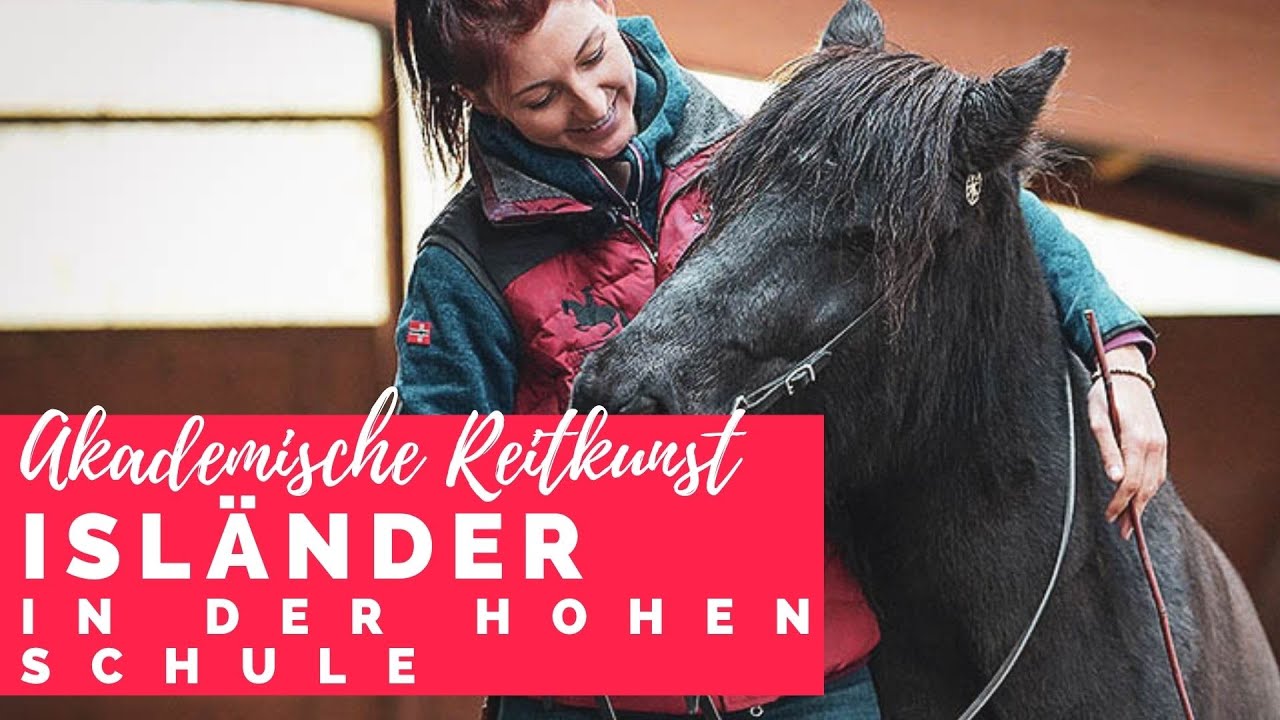 Islandpony in der Hohen Schule