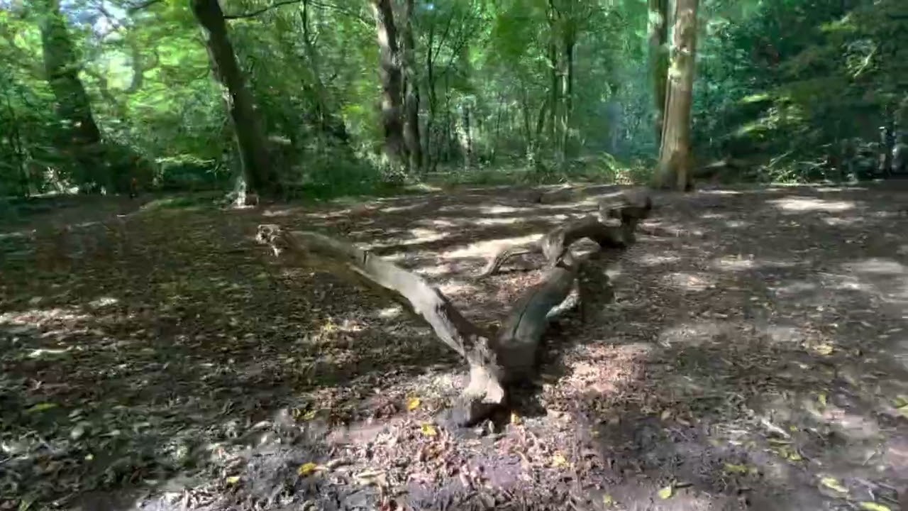 Pony英國行山Guide: #Highgate Wood #London
