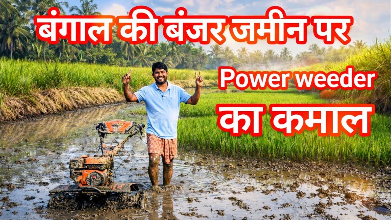 बंगाल के बंजर जमीन पर POWER WEEDER का कमाल | Agro tech india Jamtara | #powerweeder #agriculture