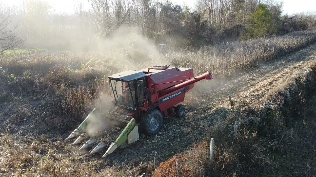 Zetva Kukuruza 22.11.2021. | Deutz Fahr M 2385 Zetva Kukuruza
