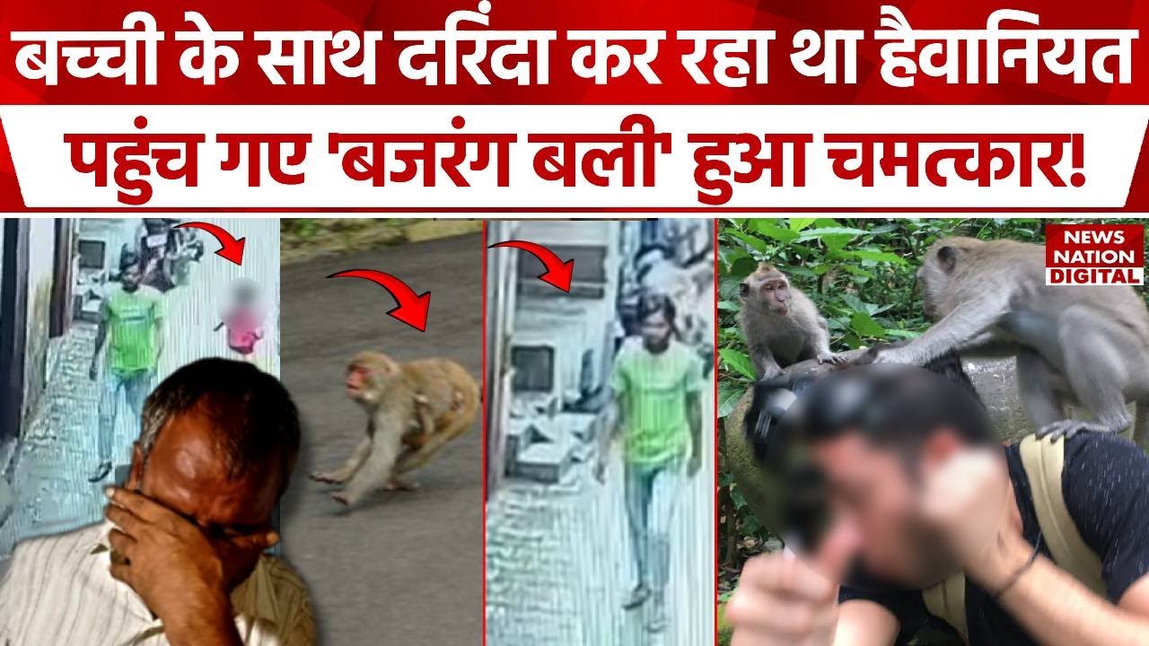 Monkey Saved 6 Year Old : संकटमोचन ने किया चमत्कार! | Baghpat | UP News | Crime News | Pocso Act |