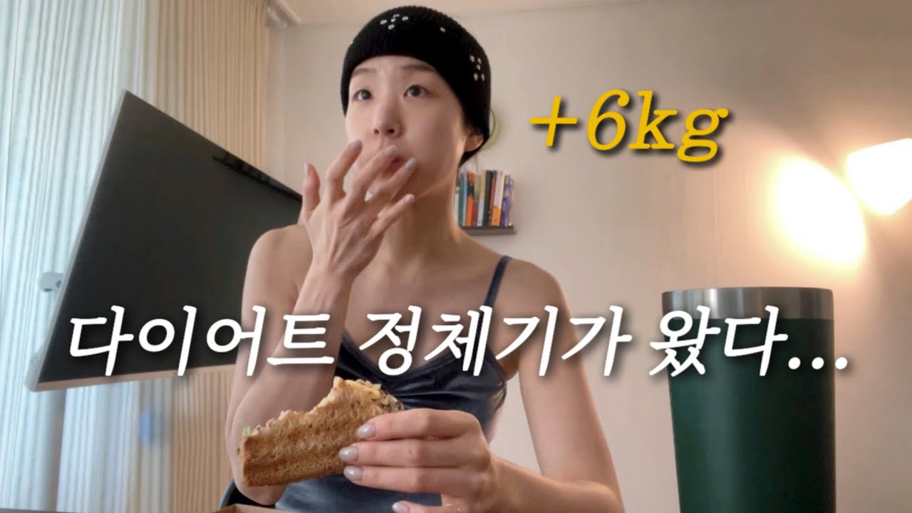 다이어트 어떻게 했더라...?