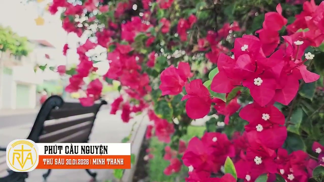 Phút Cầu Nguyện, Thứ Sáu 30/01/2026: Thái độ đón nhận những lời dạy