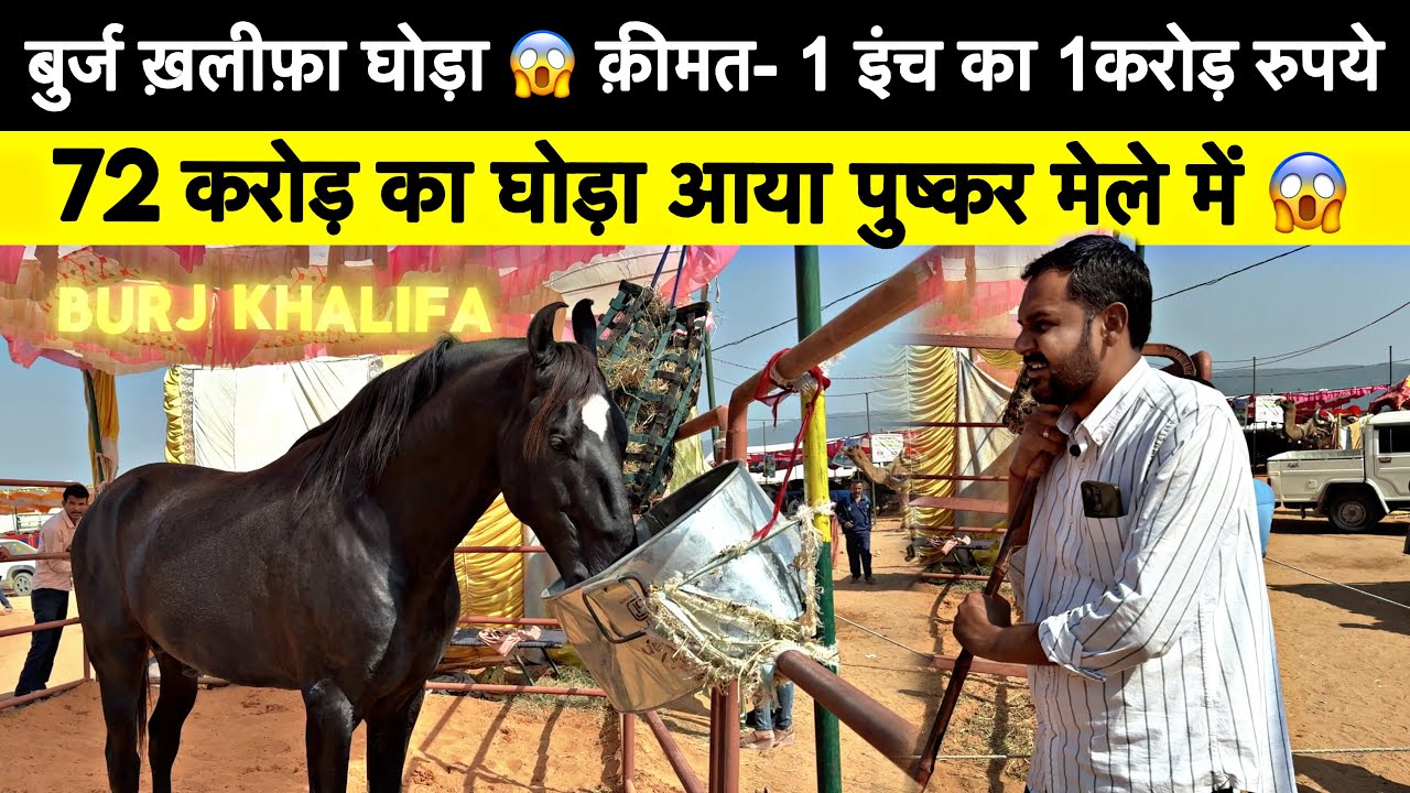 72 इंच का घोड़ा 😱बुर्ज ख़लीफ़ा पूरी जानकारी 💯✅