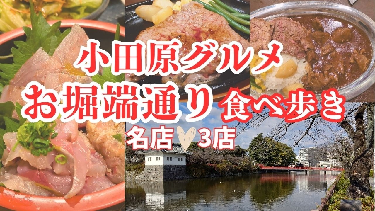 城下町ｸﾞﾙﾒ🏯観光客も地元民も必見✨お堀端通りの本気ﾗﾝﾁ3選😋🍴 A Taste of Odawara Castle Town & Best Eats Walk．
