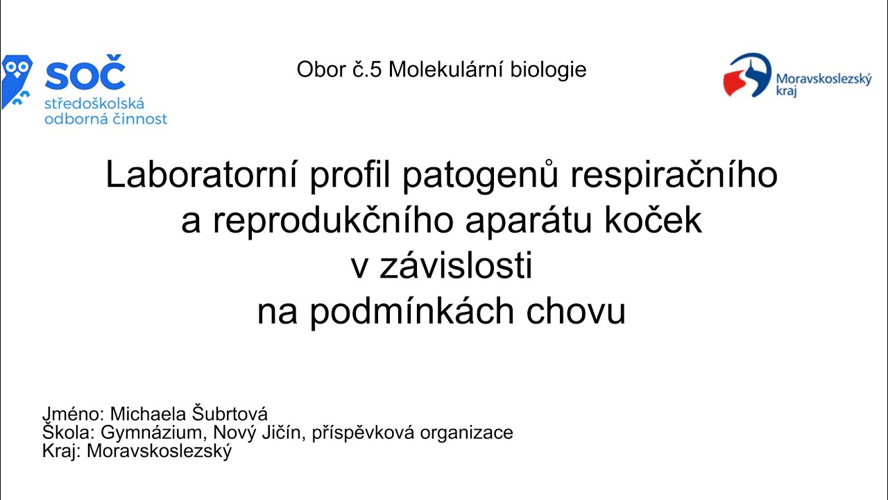 SOČ 2026 Michaela Šubrtová