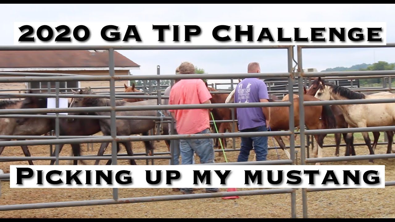 Picking Up My Mustang for the 2020 Georgia TIP Challenge