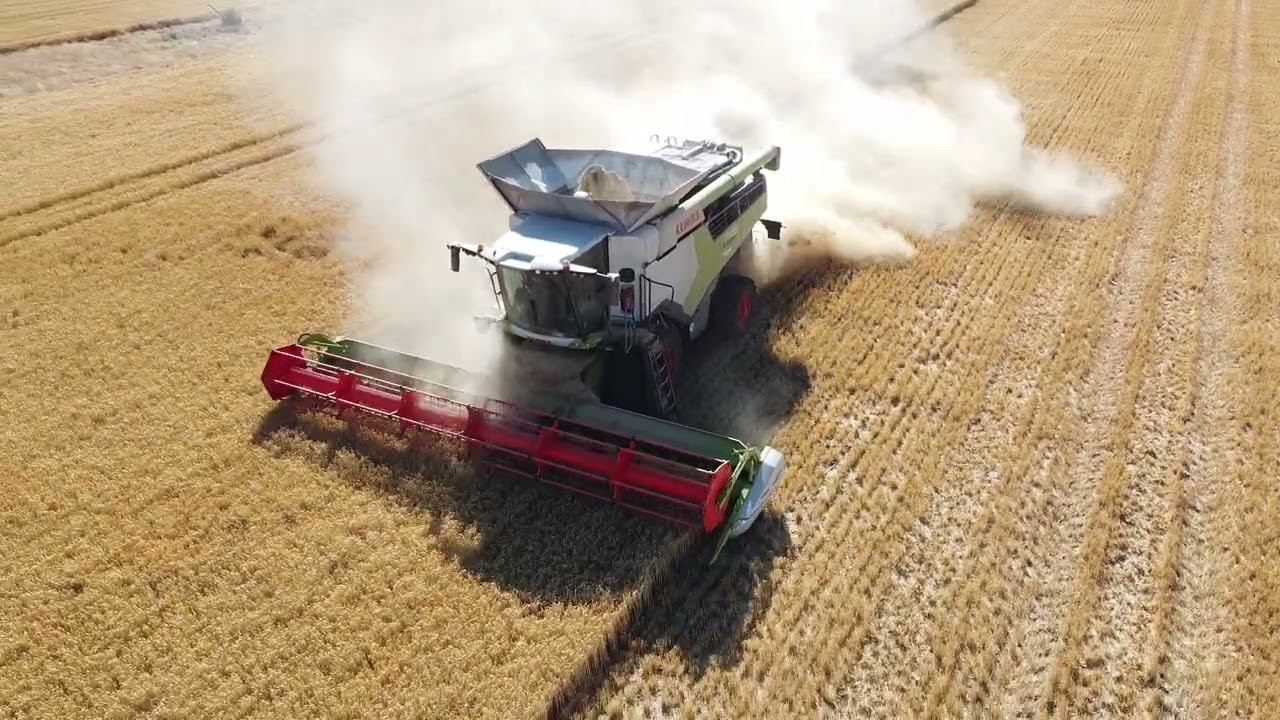2x Claas lexion 7700    Pd Močenok žatva 2025 #2