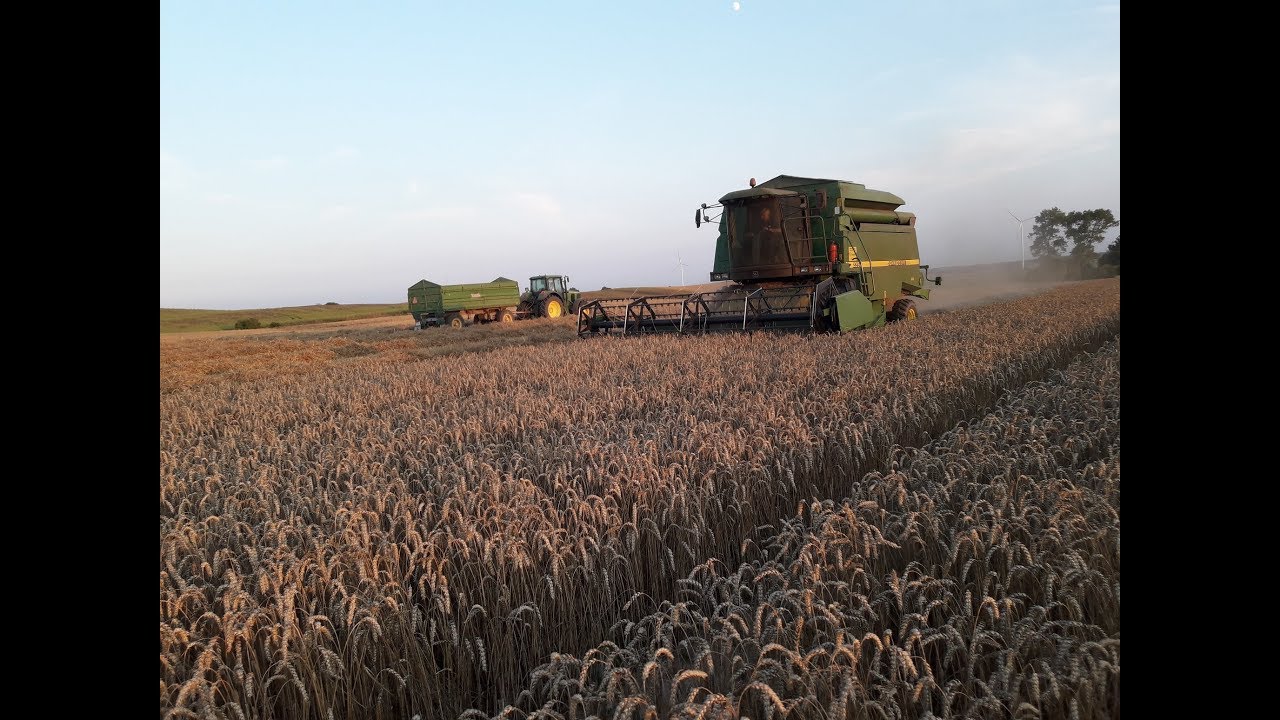 Żniwa 2018 - tegoroczna rekordzistka pszenica Linus/ John Deere 2256 & John Deere 6620 & 6110 Kula