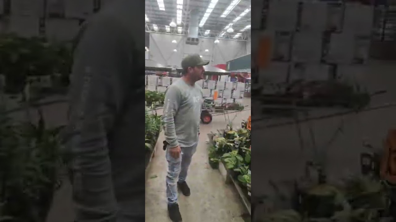 The Devil's Lettuce