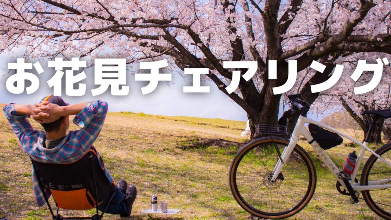 クロスバイクFX3で楽しむ！ 満開の桜並木サイクリングとチェアリング