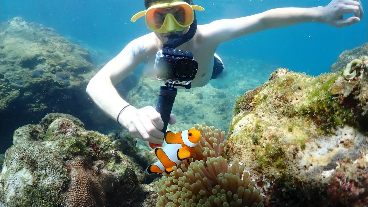 Boat and snorkeling Tour Satahip 