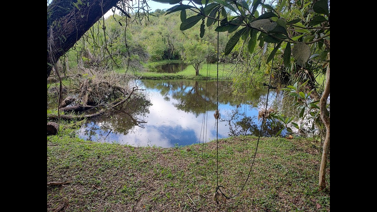 REF.1013-VENDO/TROCO SÍTIO 8000M² COM 2 LAGOS E RIO, ESCRITURA DEFINITIVA BEIRA DO ASFALTO IBIÚNA-SP