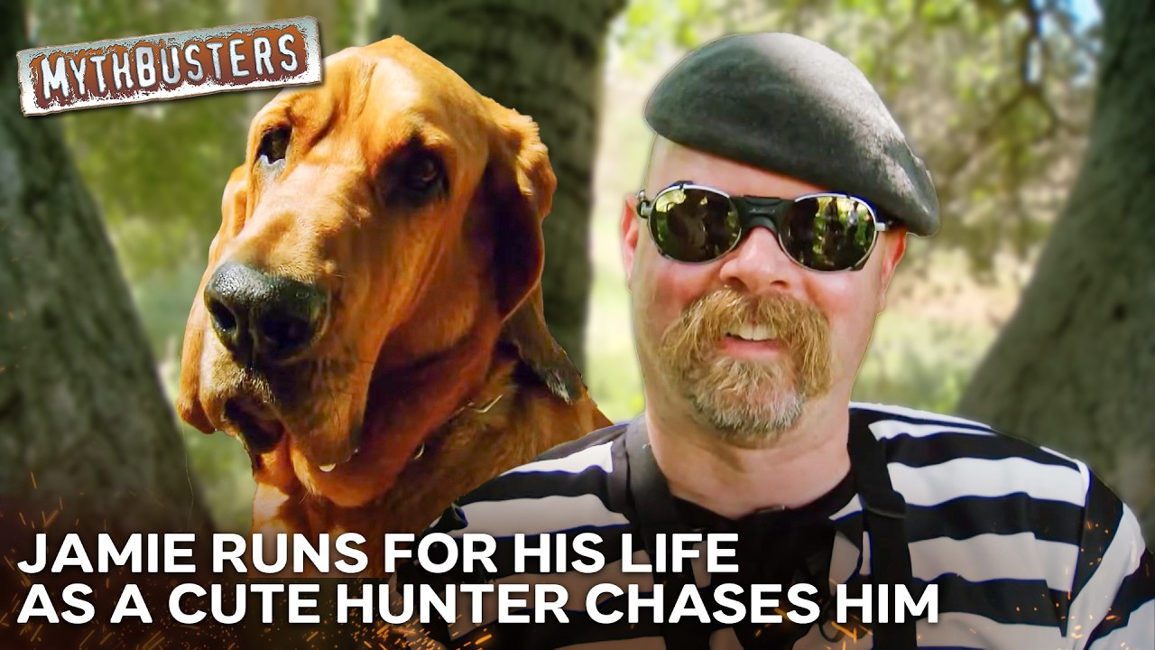 Is There Any Technique That Can Fool A Trained Bloodhound? | MythBusters S06E18 Comp