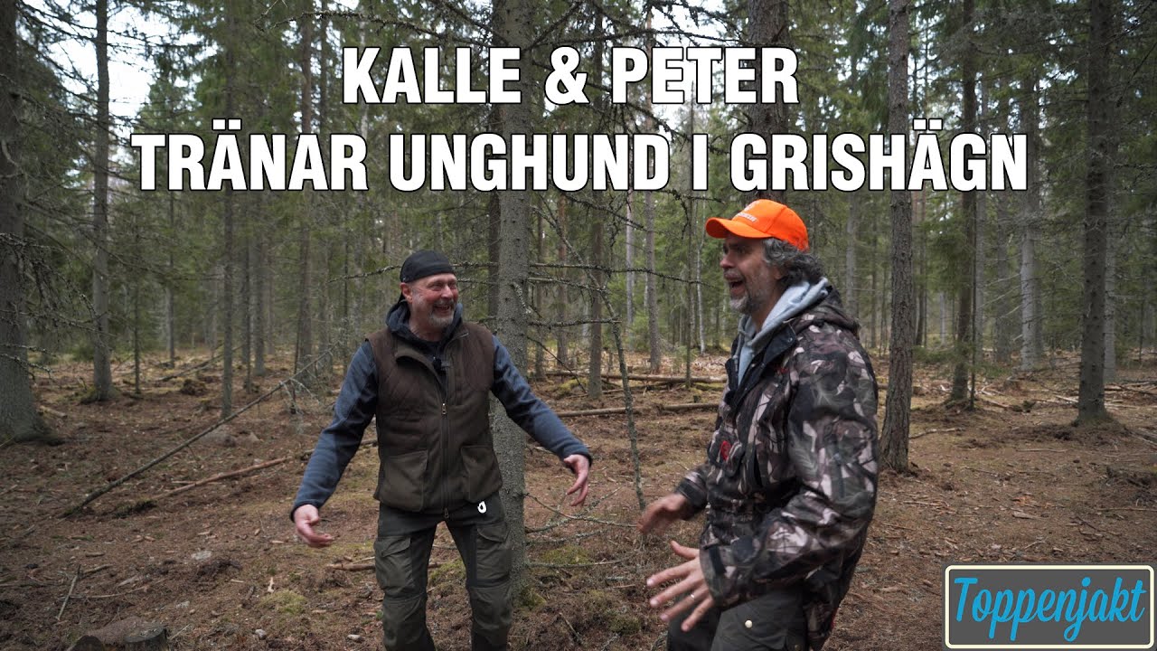 Toppenjakts Kalle Zackari Wahlstr&ouml;m tr&auml;nar Istass i vilth&auml;gn med proffset Peter Ekestr&ouml;m