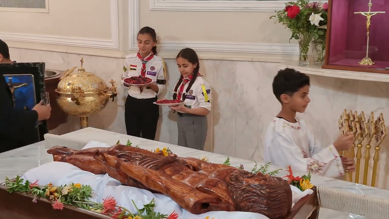 الكتفين والدورة
