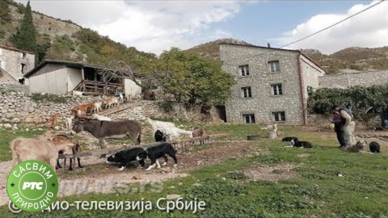 Sasvim prirodno: Milena - žena koja se ne predaje (Jovan Memedović)