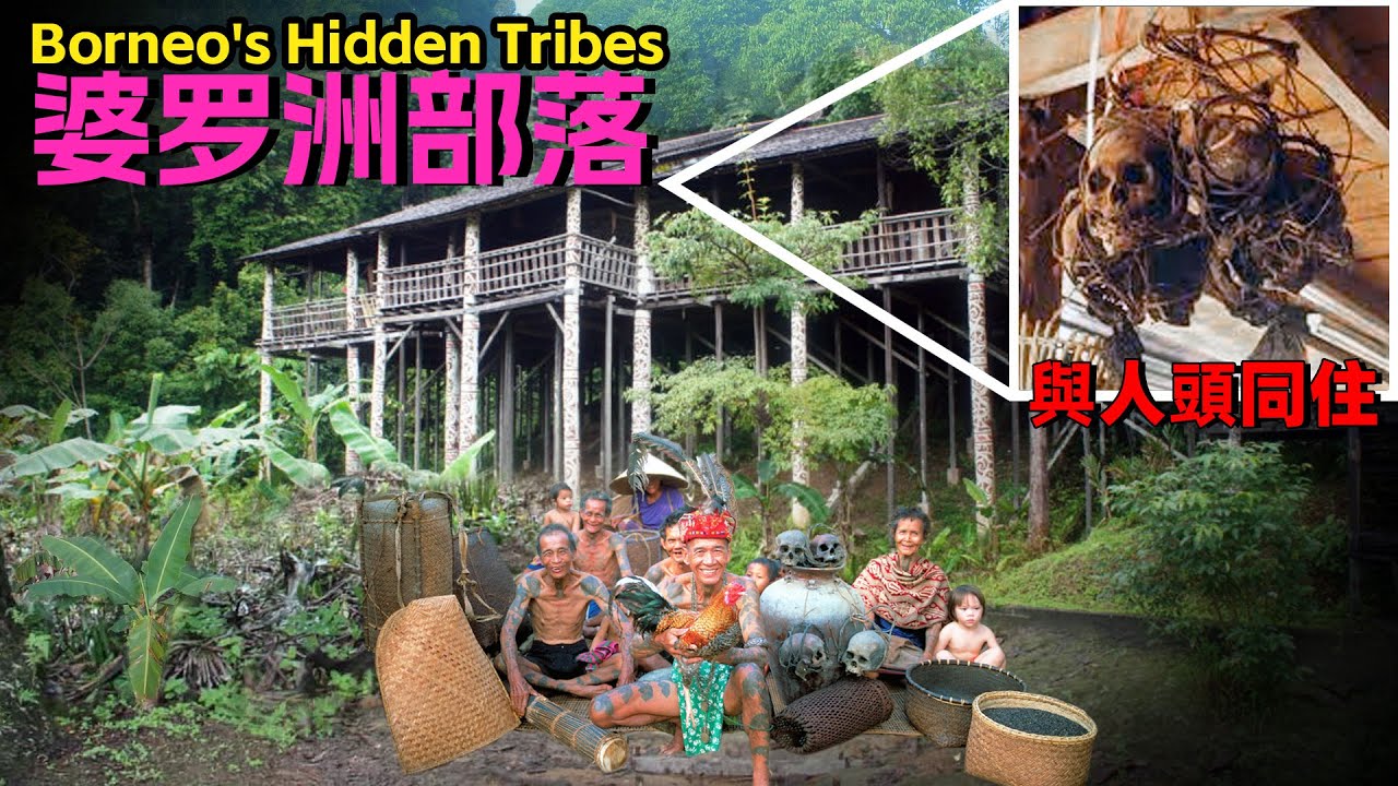 婆罗洲深山现最后猎头族！曾和头骨同吃同住，如今生活让人意外！比非洲原始部落还恐怖！